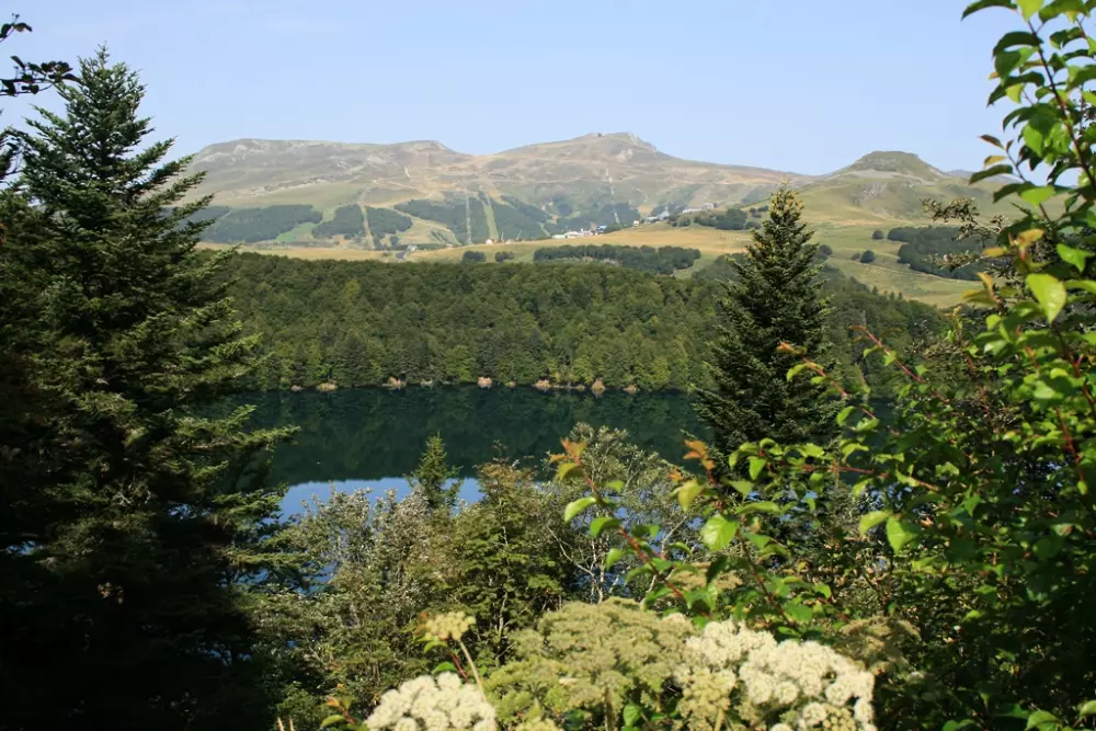 Résidence Le Bois De La Reine3 étoiles★★★