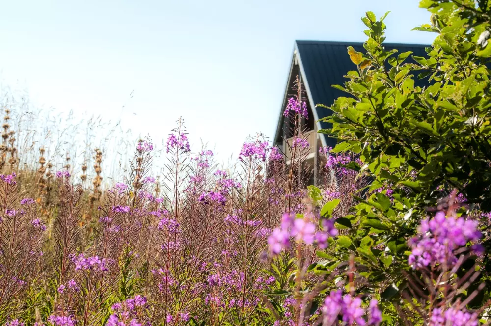 Résidence Goélia Les Chalets de Super-Besse 3 étoiles★★★