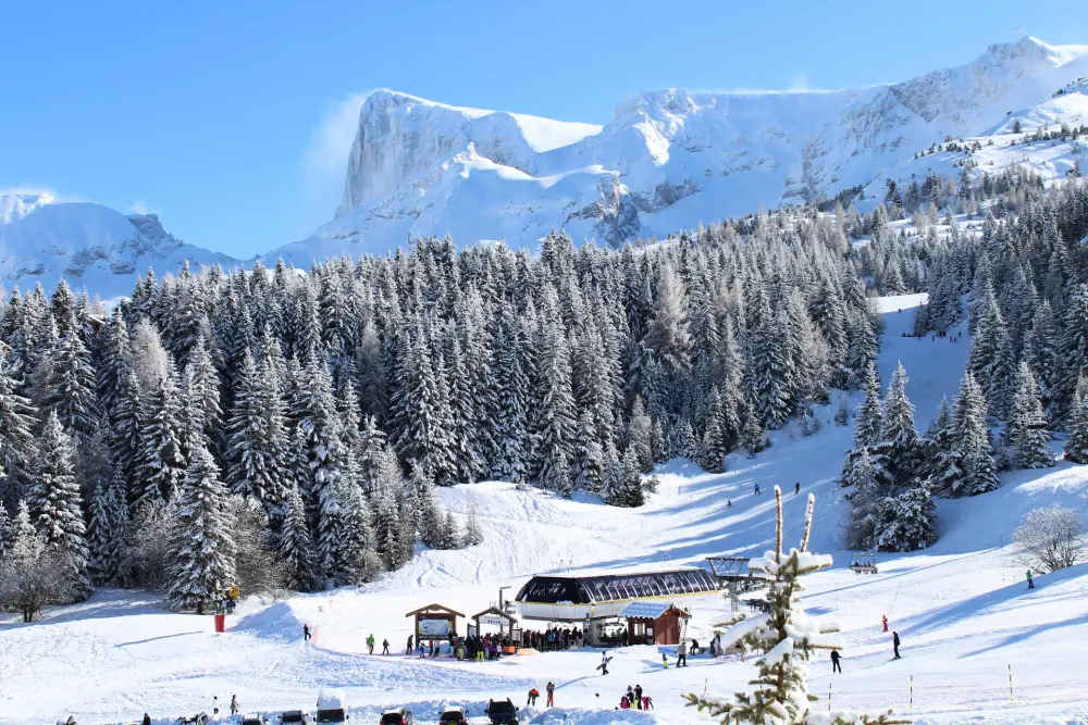 Résidence Le Bois D'aurouze