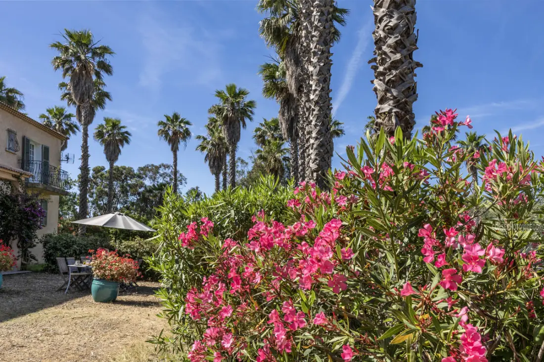 Villa Washingtonia - Villa De Charme Avec Accès Privé à La Plage
