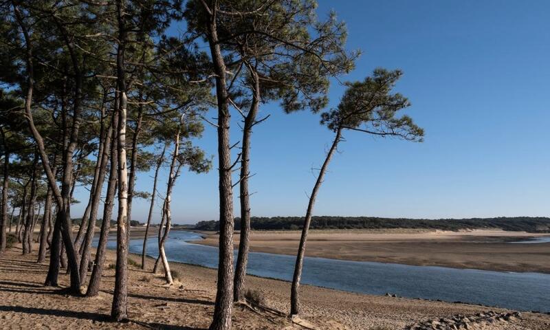 Camping Les Flots de l'Océan *** - Talmont-Saint-Hilaire - Port Bourgenay - 3