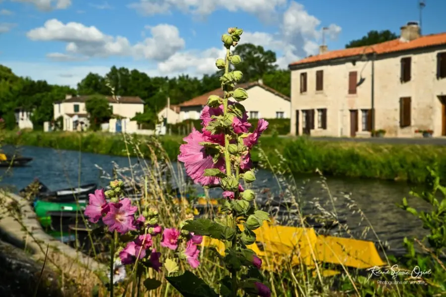 Camping Les Flots de l'Océan 3 étoiles★★★
