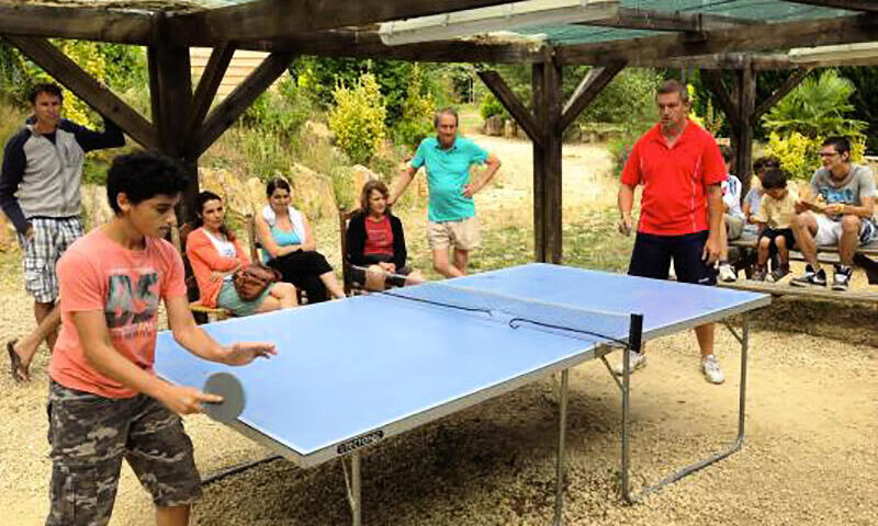 Domaine des Grands Pins **** - Tamnies - 35