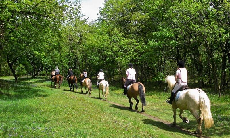 Domaine des Grands Pins **** - Tamnies - 36