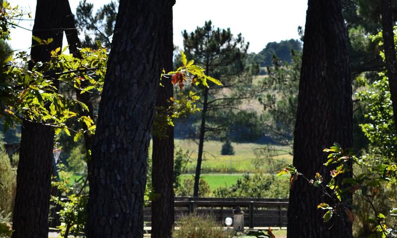 Domaine des Grands Pins **** - Tamnies - 12