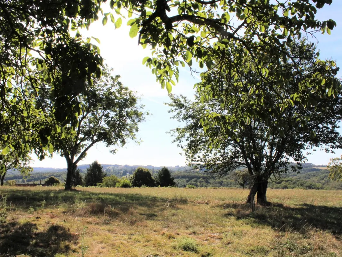 Location de Vacances TAMNIES