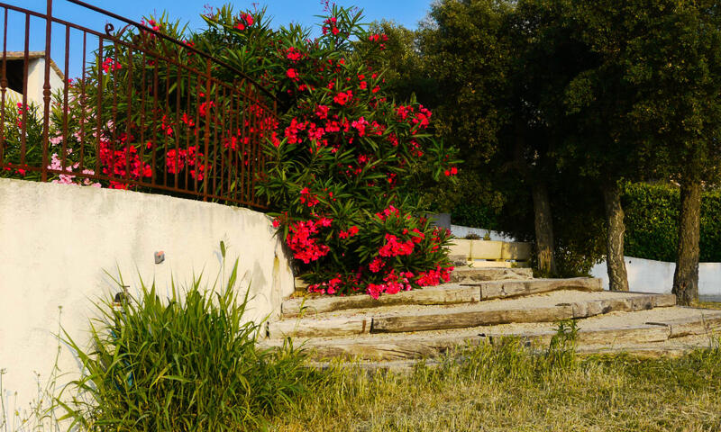 Villa De Campagne - 8 Pers - Vue Sur Les Mimosas - - Tanneron - 34