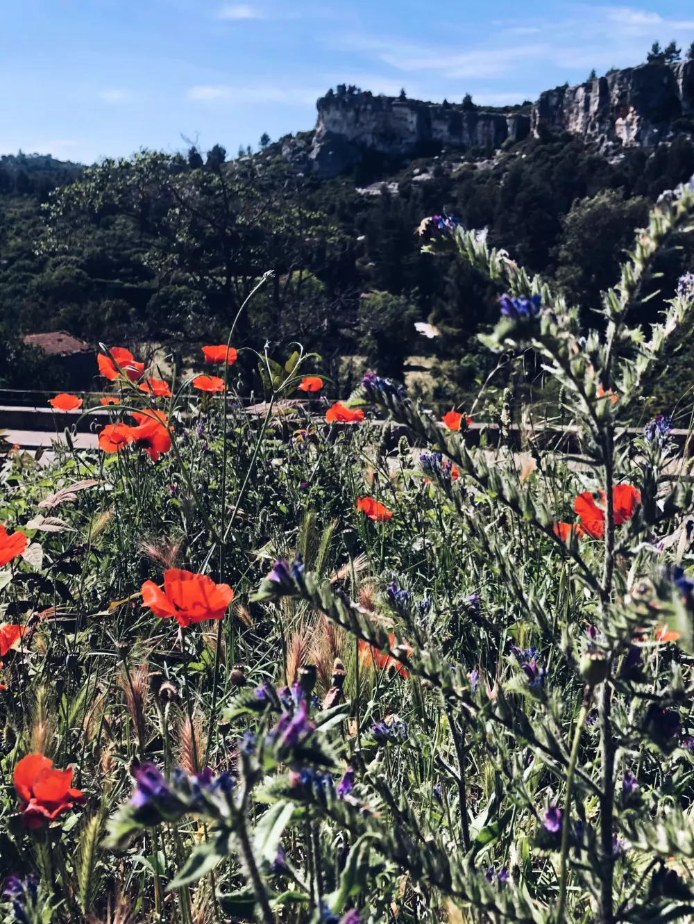 Camping Saint Gabriel 3 étoiles★★★