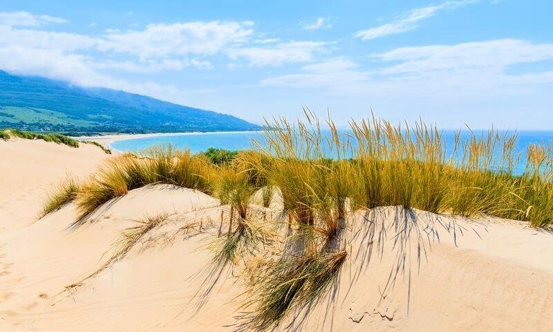 TAIGA Tarifa Punta Paloma ** - Tarifa - 7
