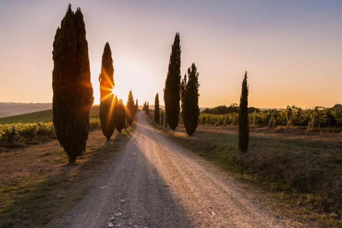 Résidence Fattoria Pratale