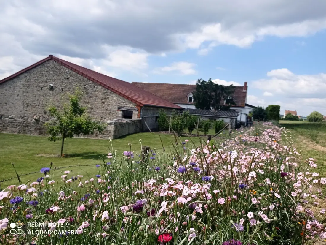 Maison de Vacances Taxat-Senat 4