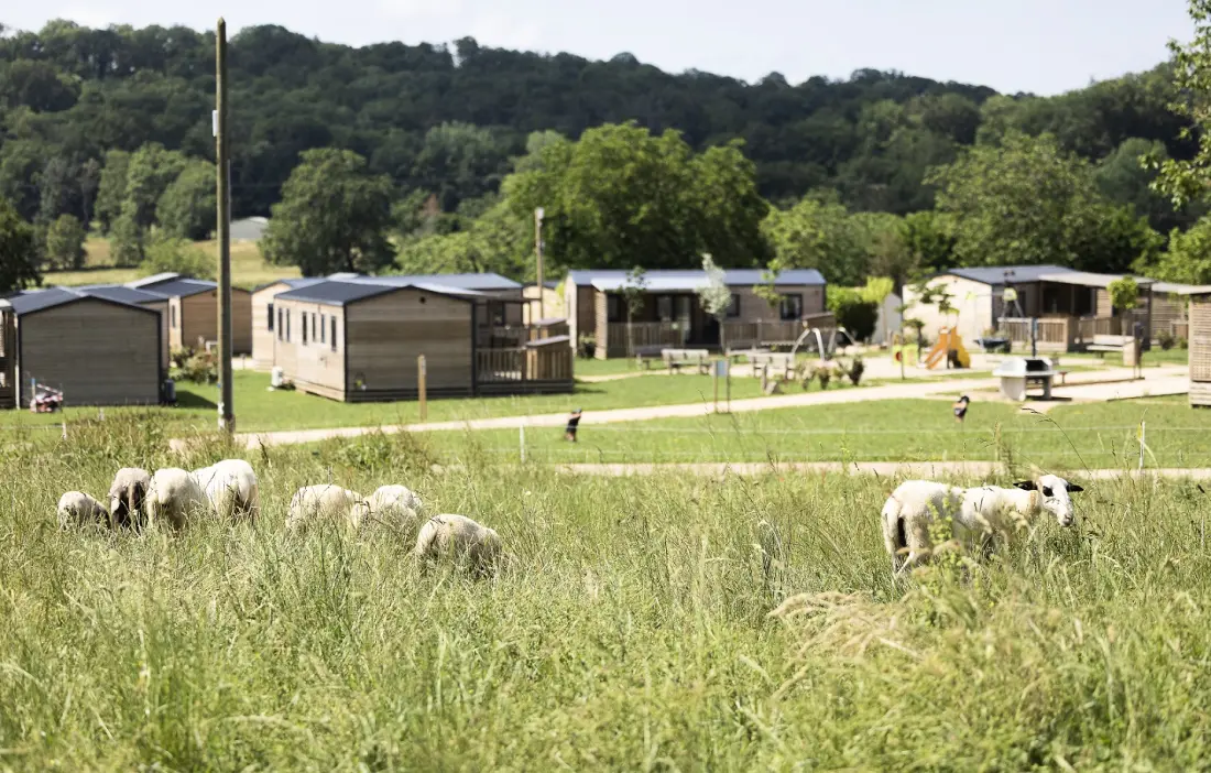 Camping Le Ventoulou 41 étoiles★
