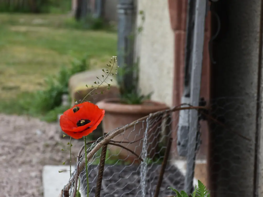 Maison de Vacances Thiel-sur-Acolin 4