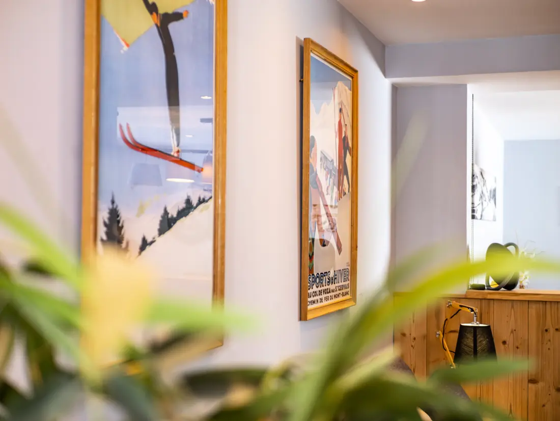 Chalet Millonex