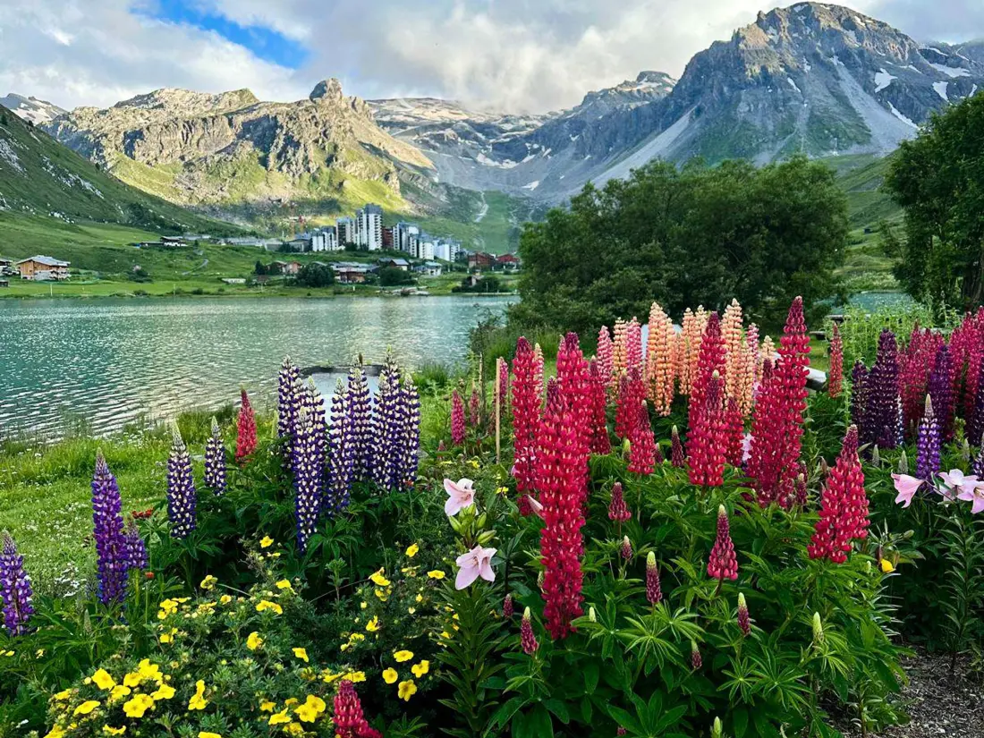 Location de Vacances Tignes 43
