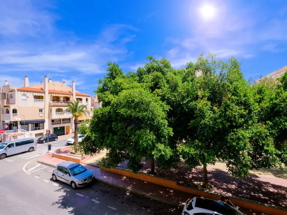 Location de Vacances Torrevieja 138