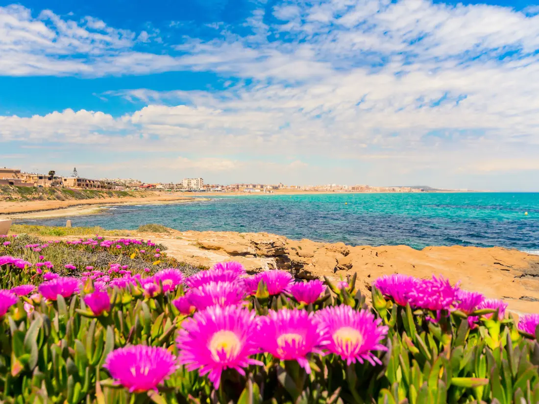 Location de Vacances Torrevieja 143