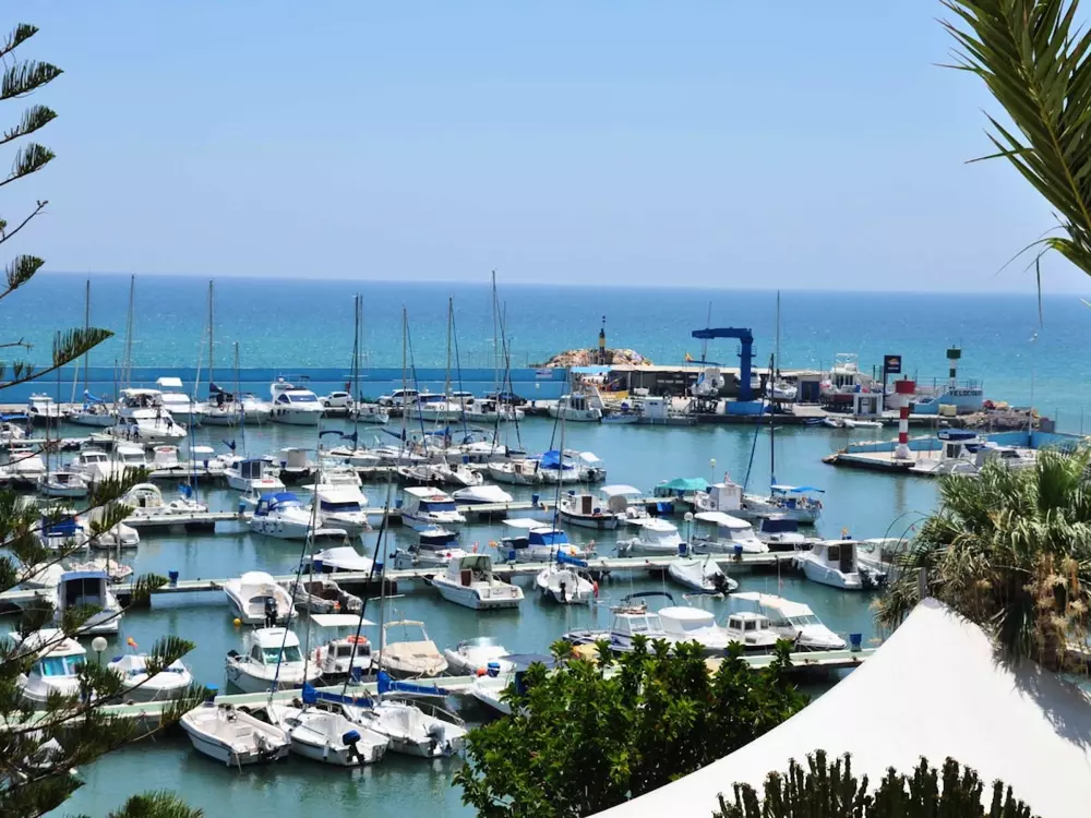 Location de Vacances Torrevieja 195