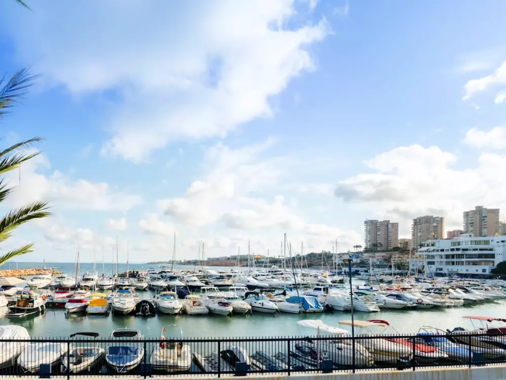 Location de Vacances Torrevieja 195