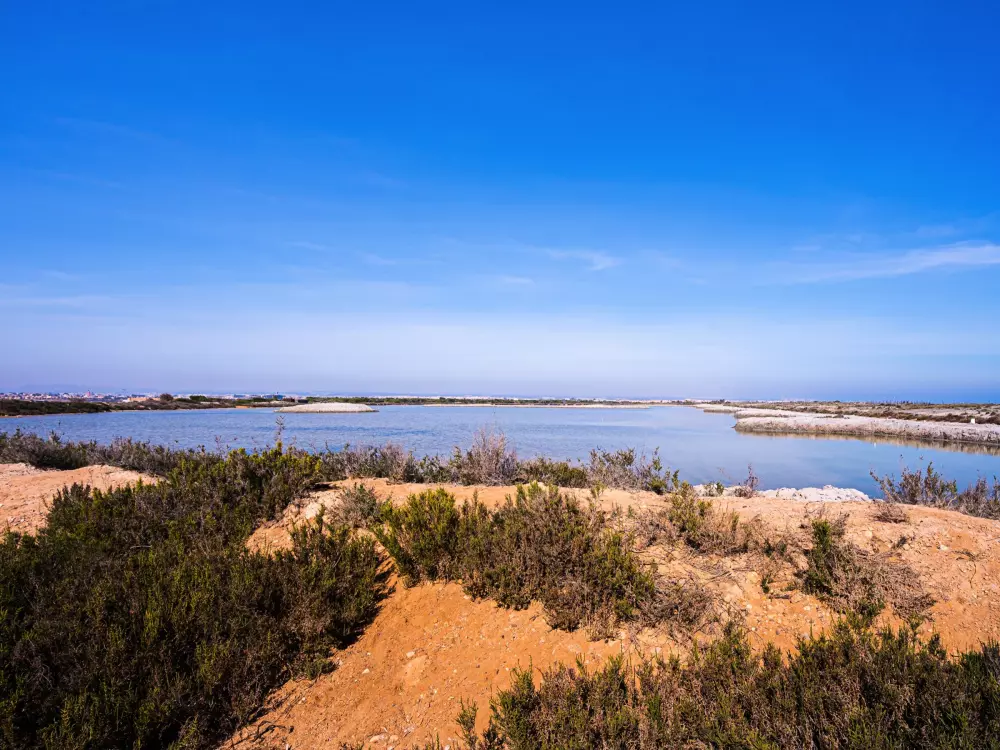 Location de Vacances Torrevieja 195