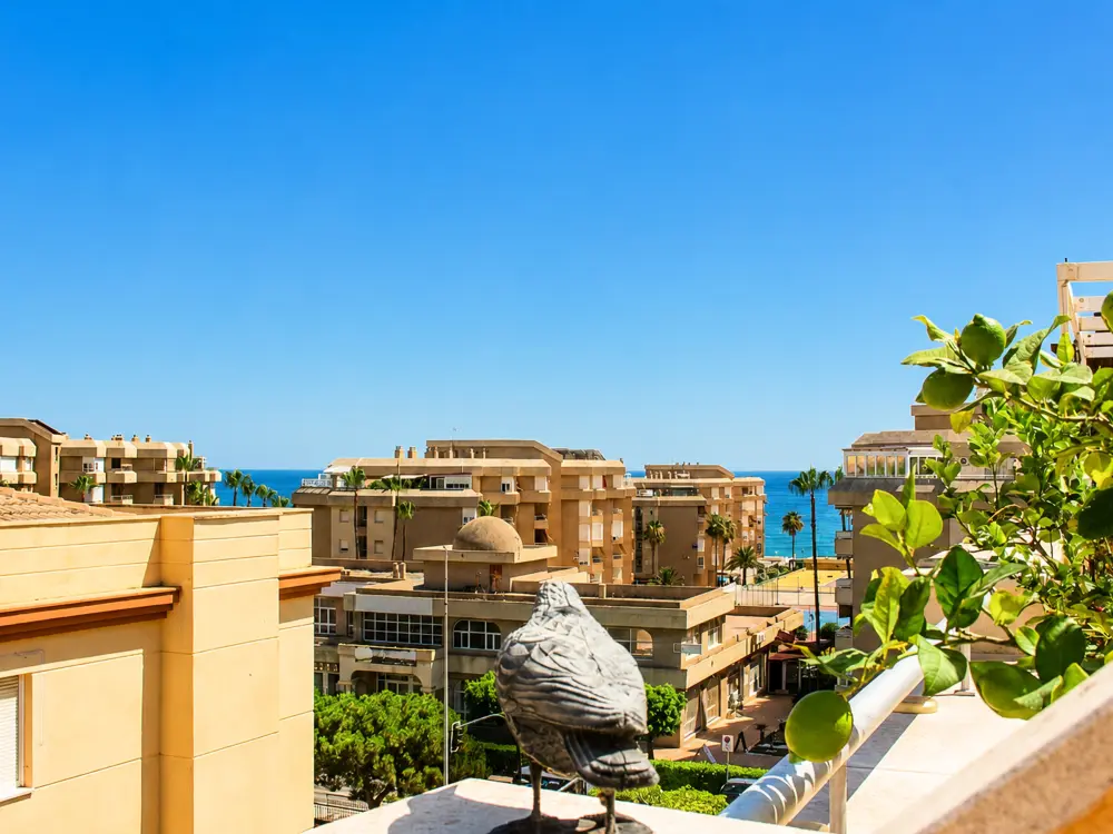 Location de Vacances Torrox 86