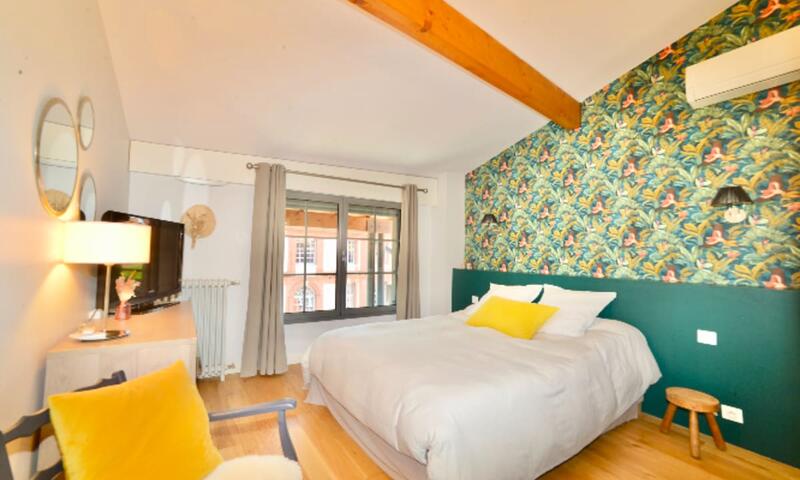 Magnifique Logement Avec Terrasse Dans Toulouse - - Toulouse - 12
