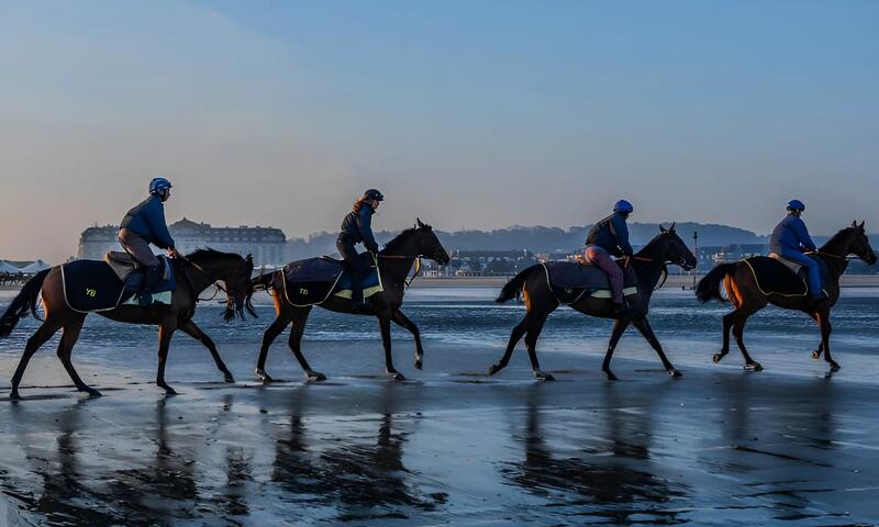 Résidence Neuve Au Pied Des Plages De Deauville - - Tourgéville - 14