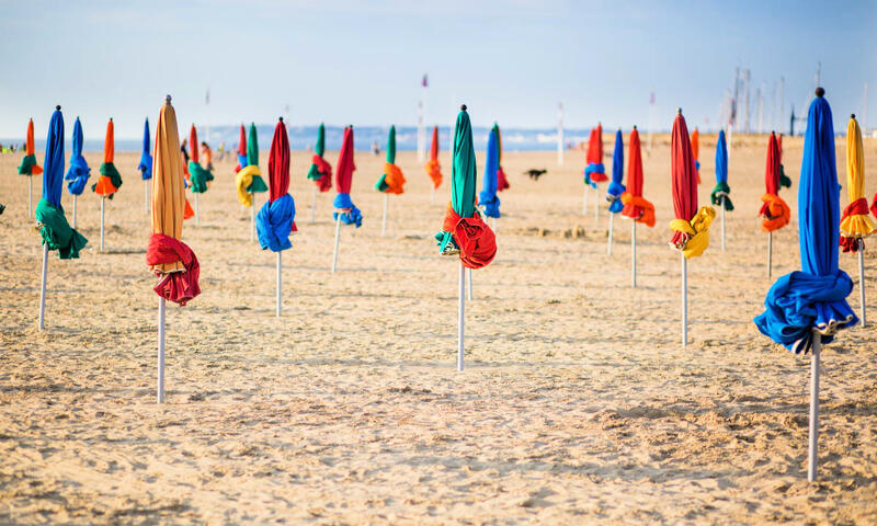 🌅 Le Petit Palais - Vue Mer, Campagne, Parking - - Tourgéville - 35