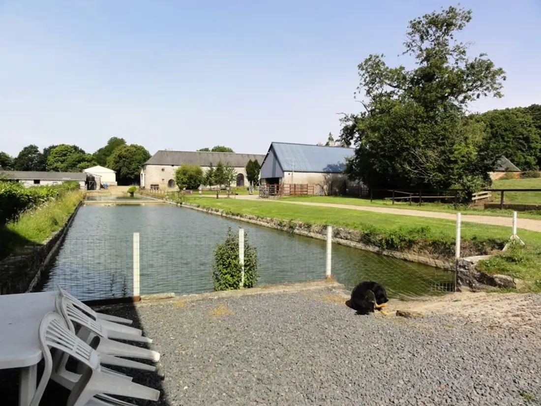 Maison de Vacances Tourville-sur-Sienne 3