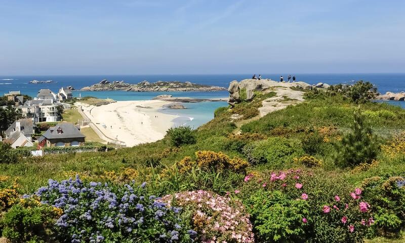 Gîte de France Le cap roz 3 épis - - Trégastel - 33