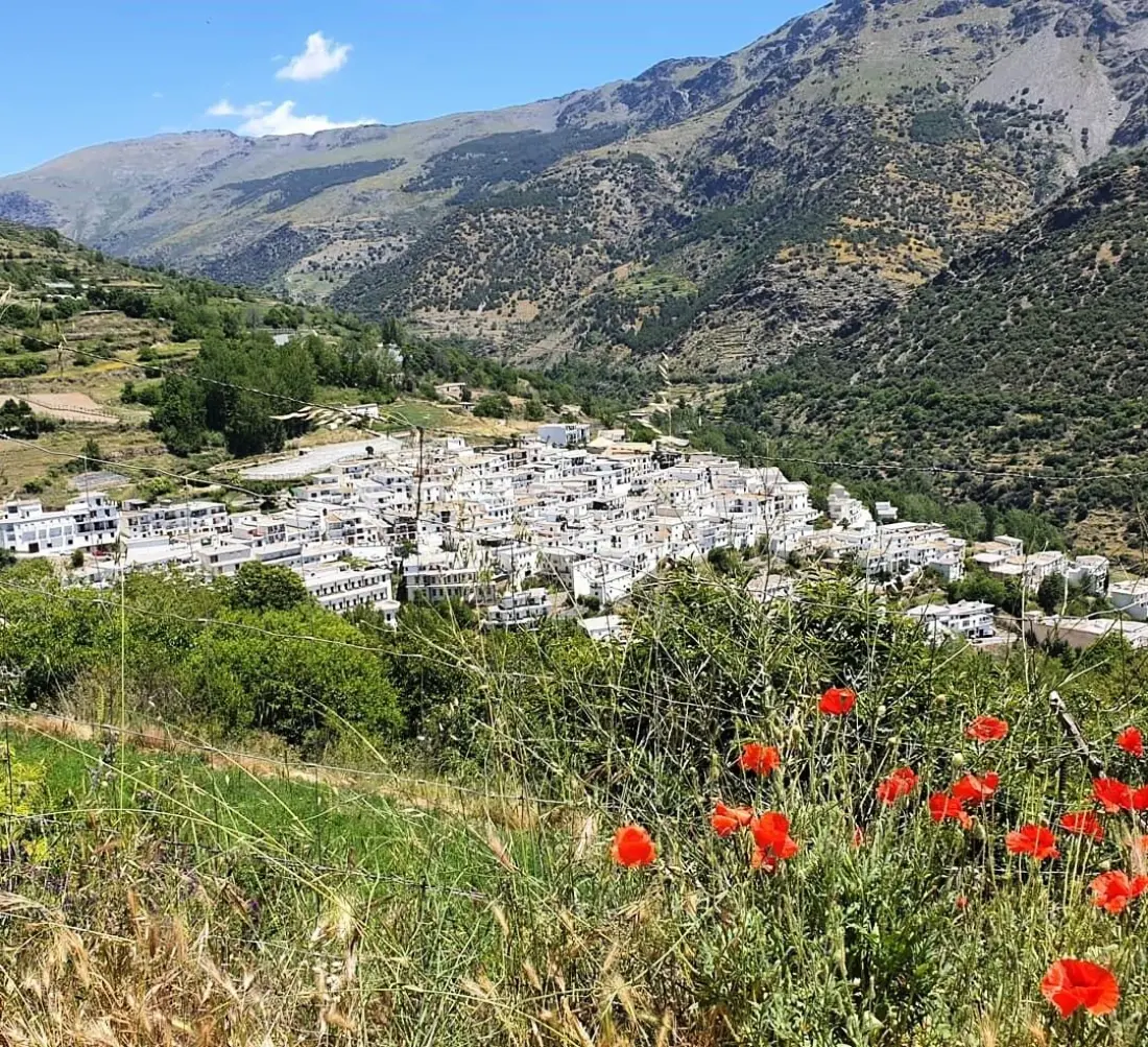 Camping Trevélez 2 étoiles★★