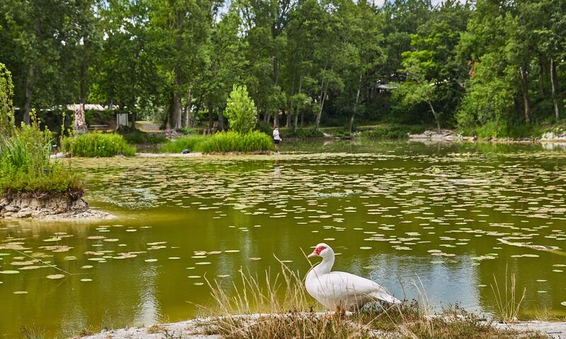 Camping Le Parc des Allais - Trogues - 12