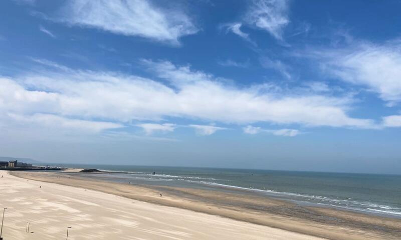 Jolie Perle Douillette Proche De La Mer - - Trouville - 2