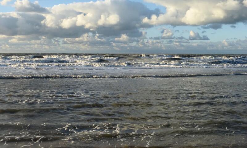 Jolie Perle Douillette Proche De La Mer - - Trouville - 8