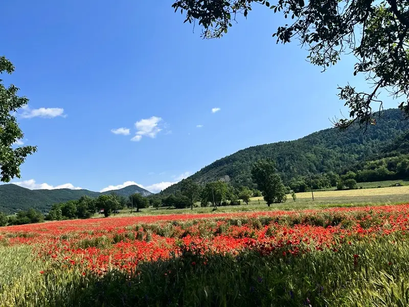 Camping La Pierre de l'Aigle 3 étoiles★★★