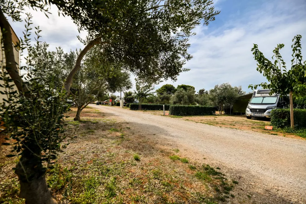 Camping Ugljan Resort 4 étoiles★★★★