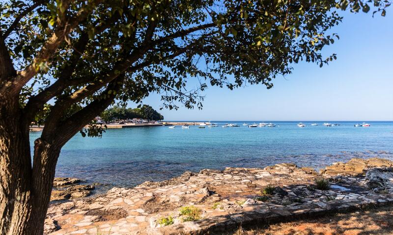 Camping Park Umag - Umag - 16