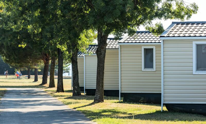 Camping Park Umag - Umag - 5