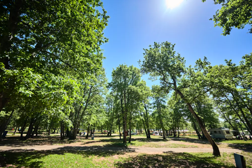 Camping Park Umag4 étoiles★★★★