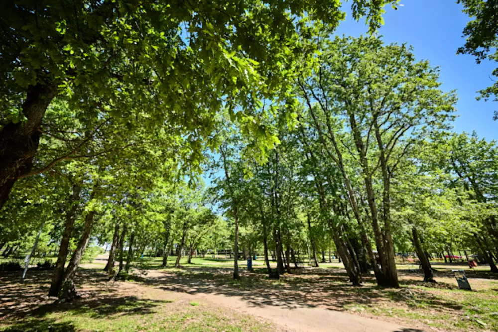 Camping Park Umag4 étoiles★★★★