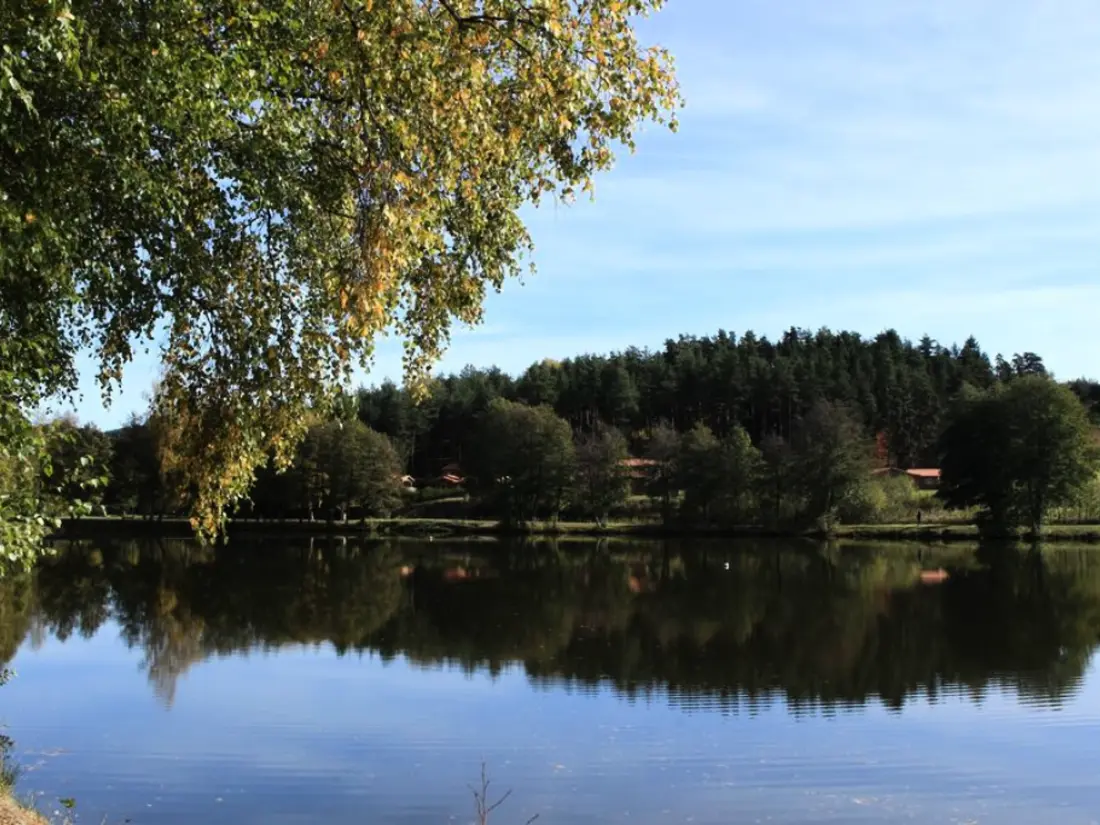 Maison de Vacances USSON-EN-FOREZ 2