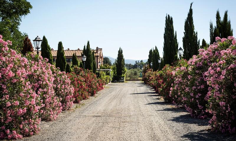 Résidence Borgo Verde - Vada - 4