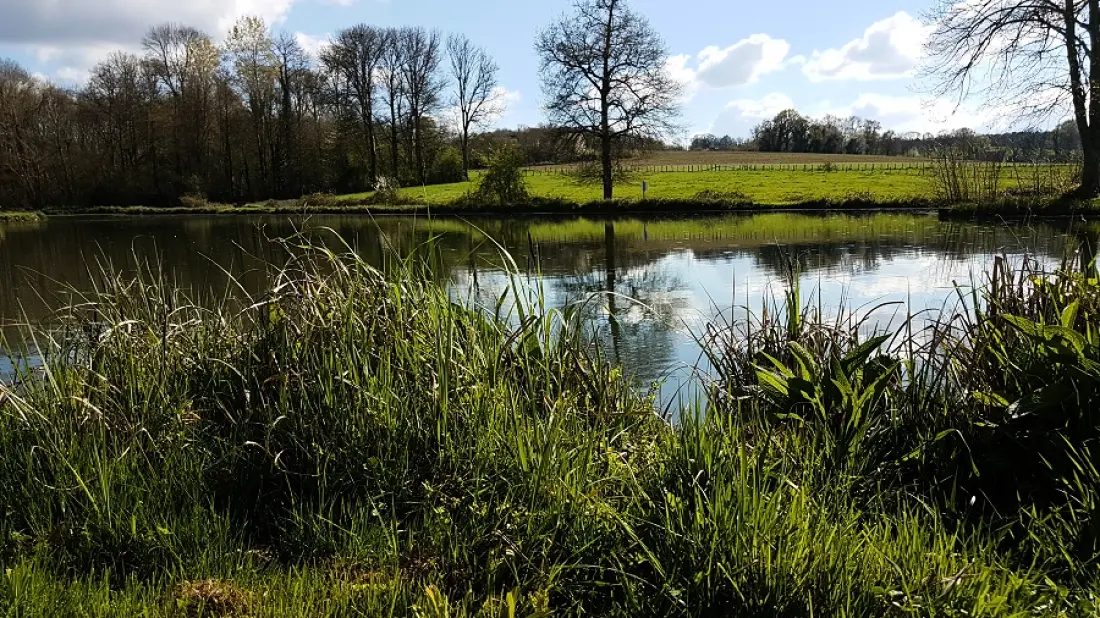 Camping La Chesnaie