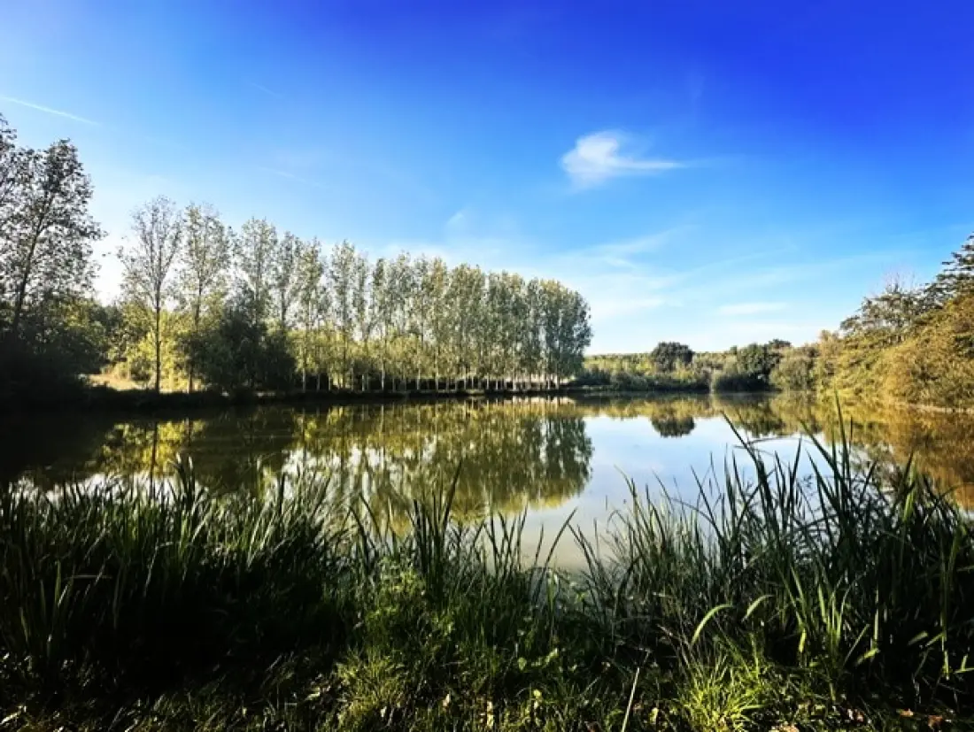 Damona Lodges 3 étoiles★★★