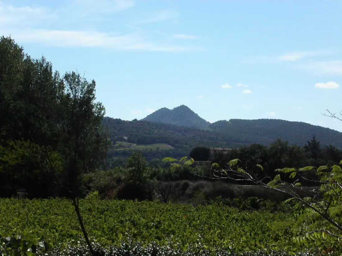La Palissade