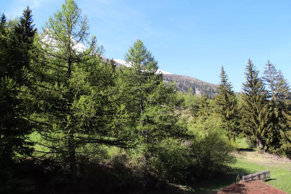 Résidence Les Alpages