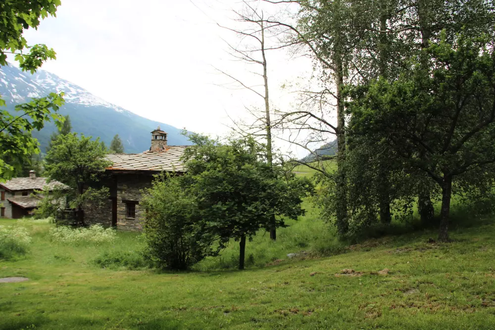 Résidence Cheneviere 1