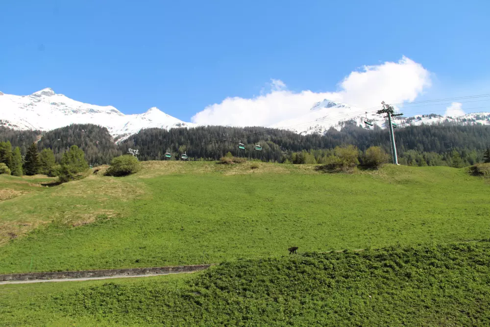 Résidence Hauts De Val Cenis