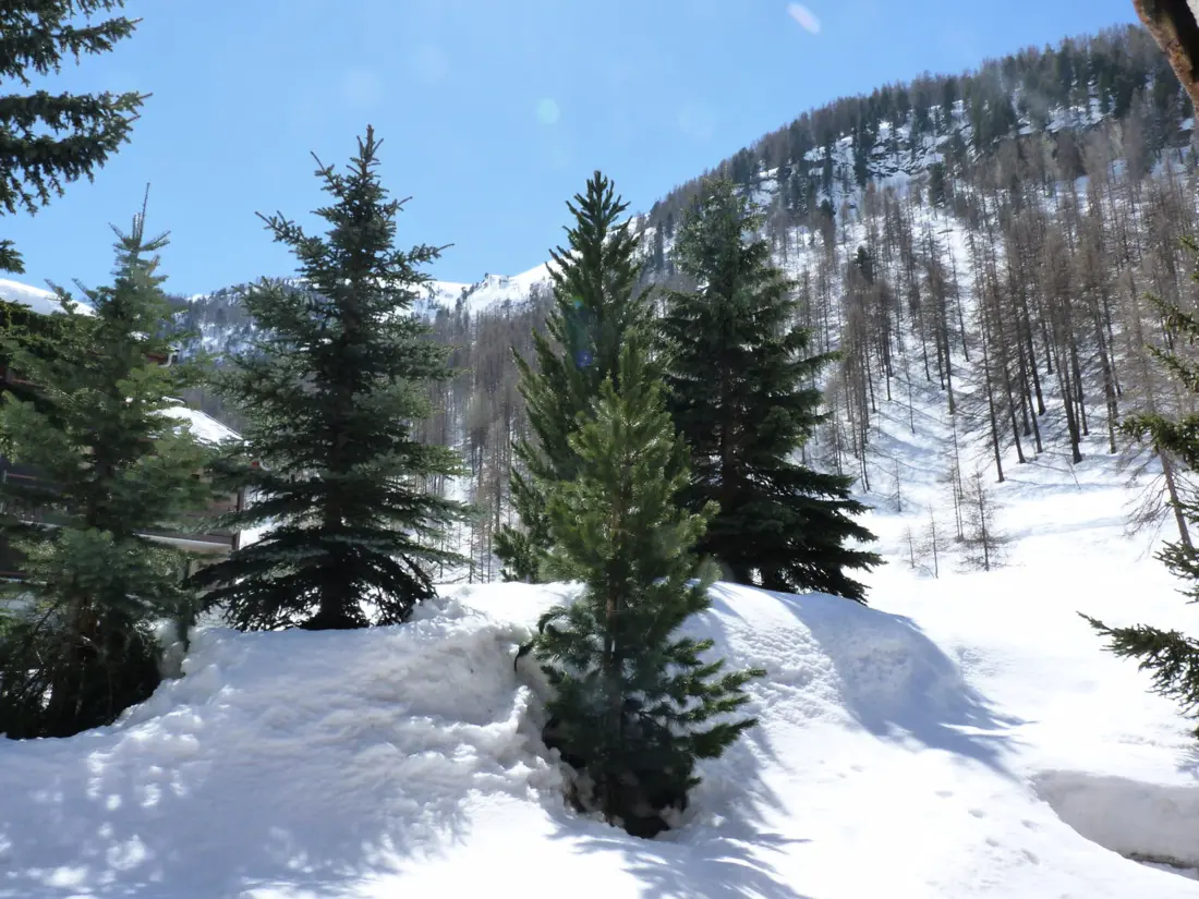 Location de Vacances Val-d'Isère 348