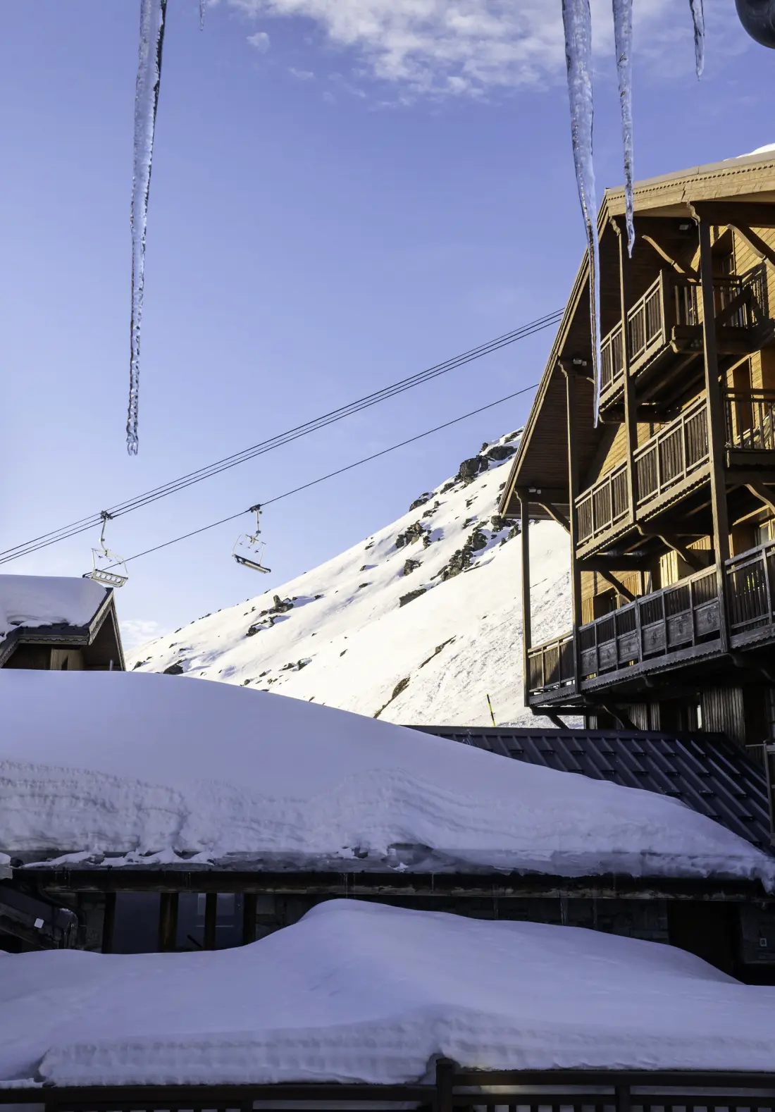 Chalet Mouflon